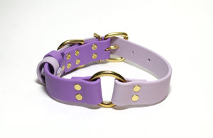 Biothane Dog Collar with O-ring - Two Tone or Solid Colours Collar - Waterproof - 1"(25mm) wide
