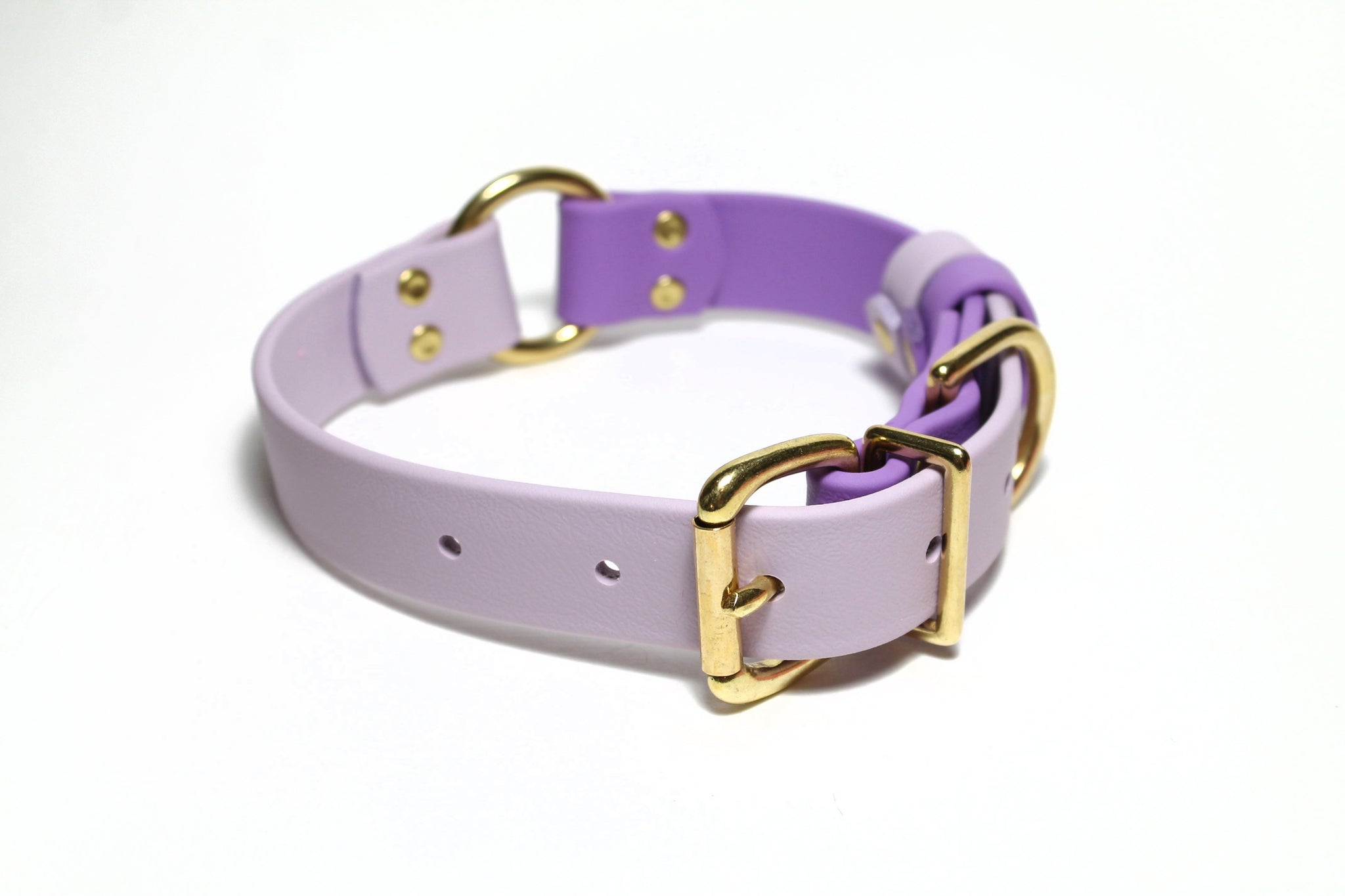 Biothane Dog Collar with O-ring - Two Tone or Solid Colours Collar - Waterproof - 1"(25mm) wide