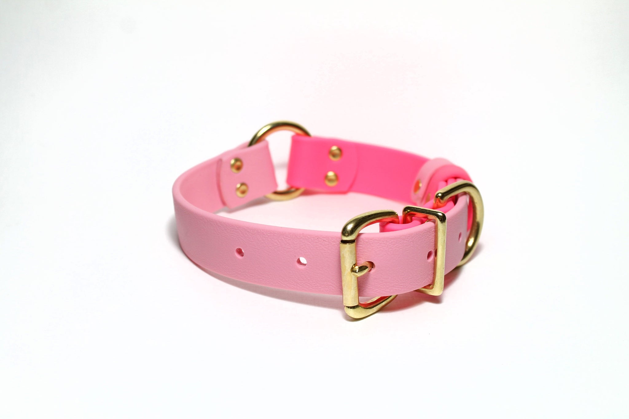 Biothane Dog Collar with O-ring - Two Tone or Solid Colours Collar - Waterproof - 1"(25mm) wide