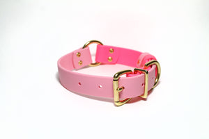 Biothane Dog Collar with O-ring - Two Tone or Solid Colours Collar - Waterproof - 1"(25mm) wide