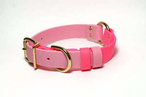 Pink two-tone dog collar with gold hardware on a white background