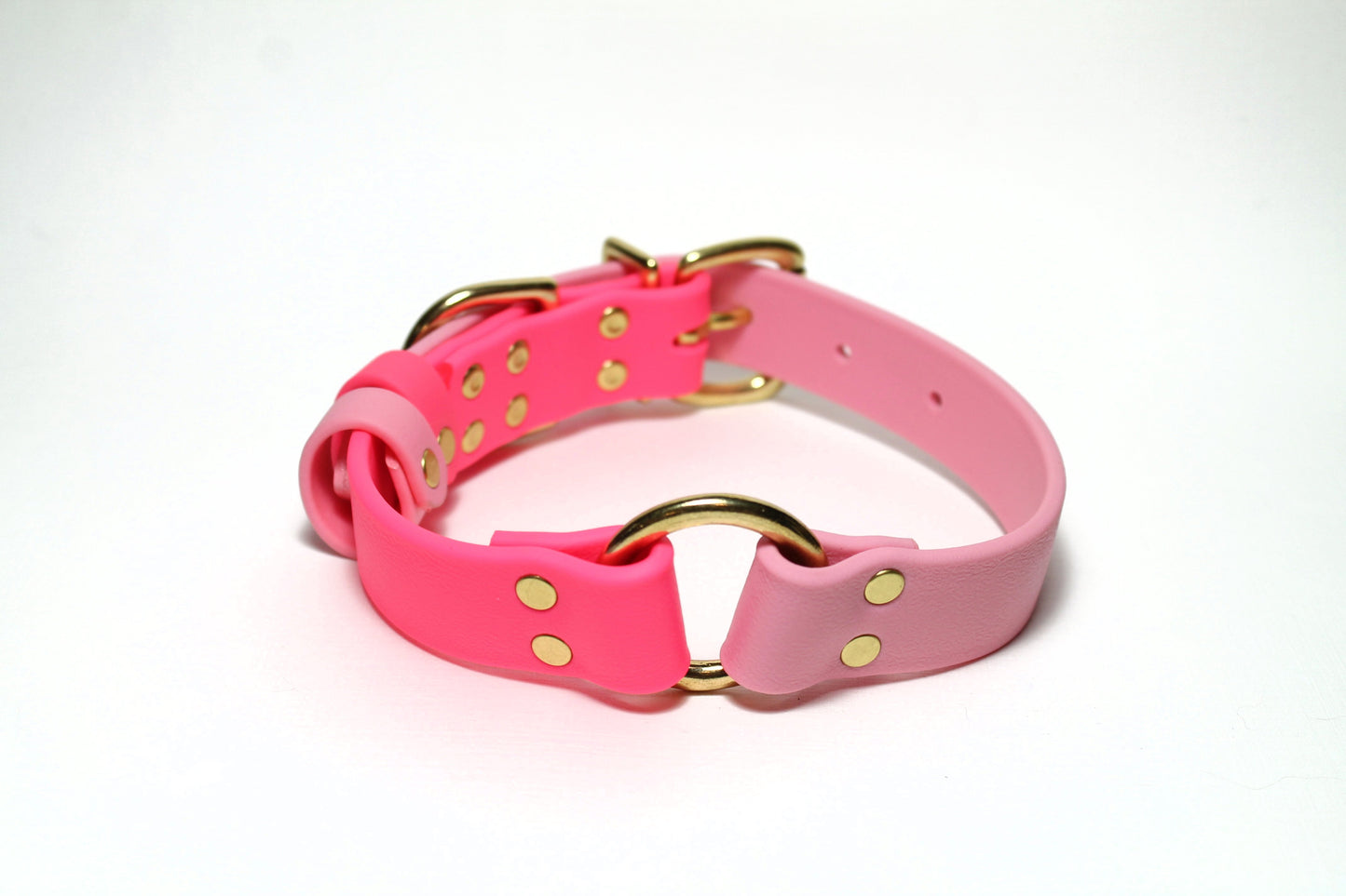 Biothane Dog Collar with O-ring - Two Tone or Solid Colours Collar - Waterproof - 1"(25mm) wide