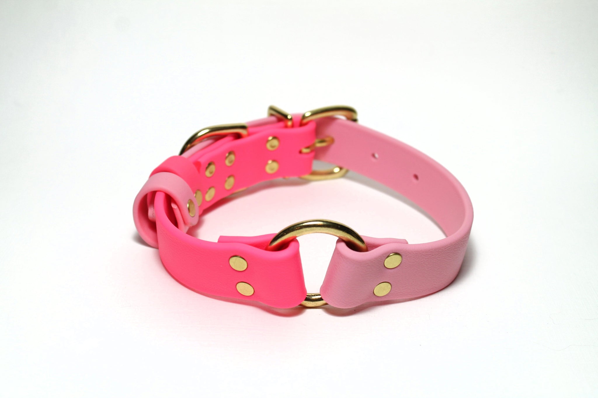 Biothane Dog Collar with O-ring - Two Tone or Solid Colours Collar - Waterproof - 1"(25mm) wide