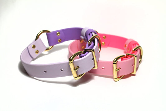 Two dog collars, one two-tone purple and one two-tone pink, with gold hardware on a white background.
