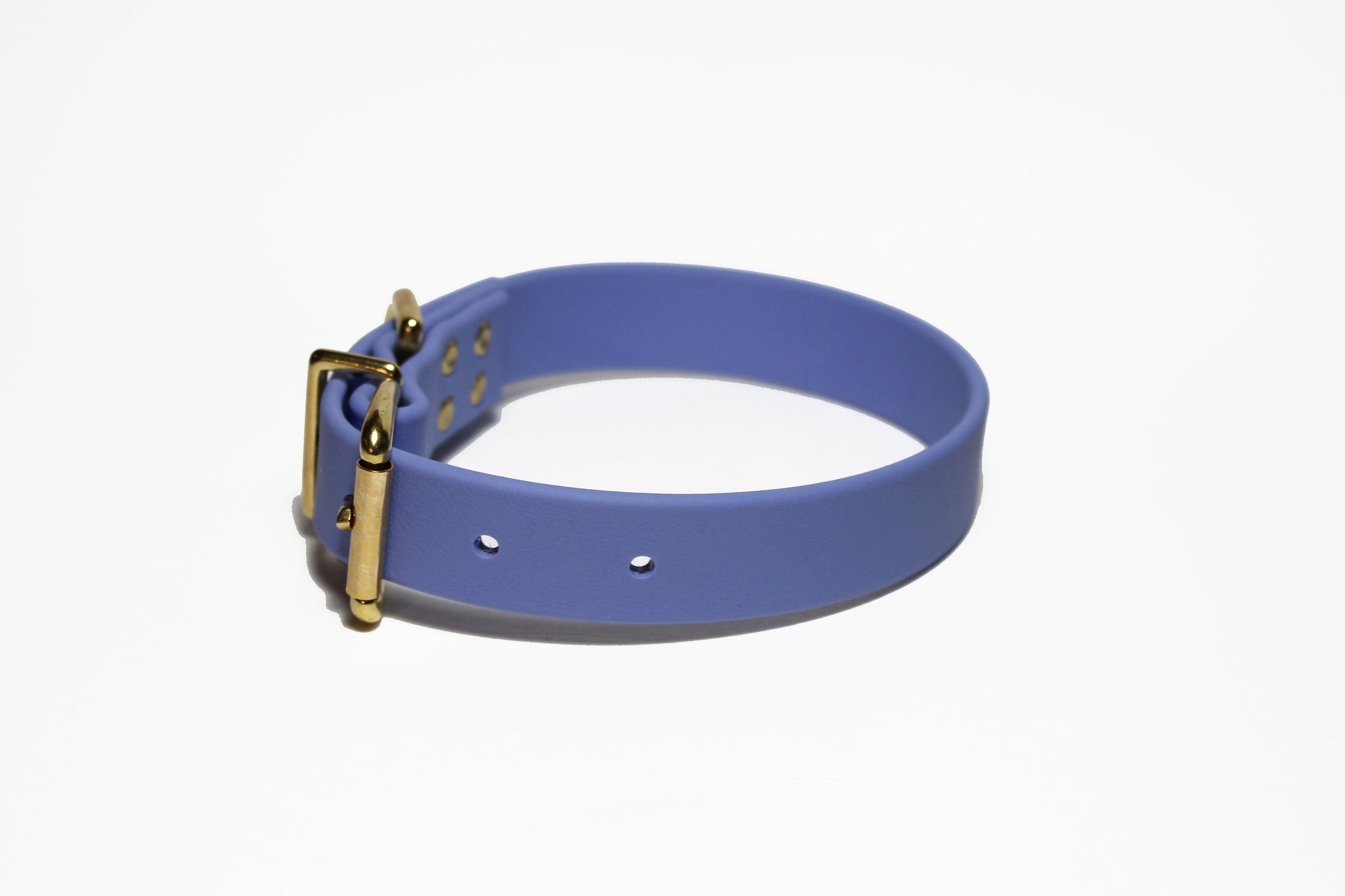 Periwinkle Biothane Dog Collar - 1 inch (25mm) wide