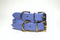 Large Dog Collar in Genuine Biothane - 25mm (1") width - 39 colours