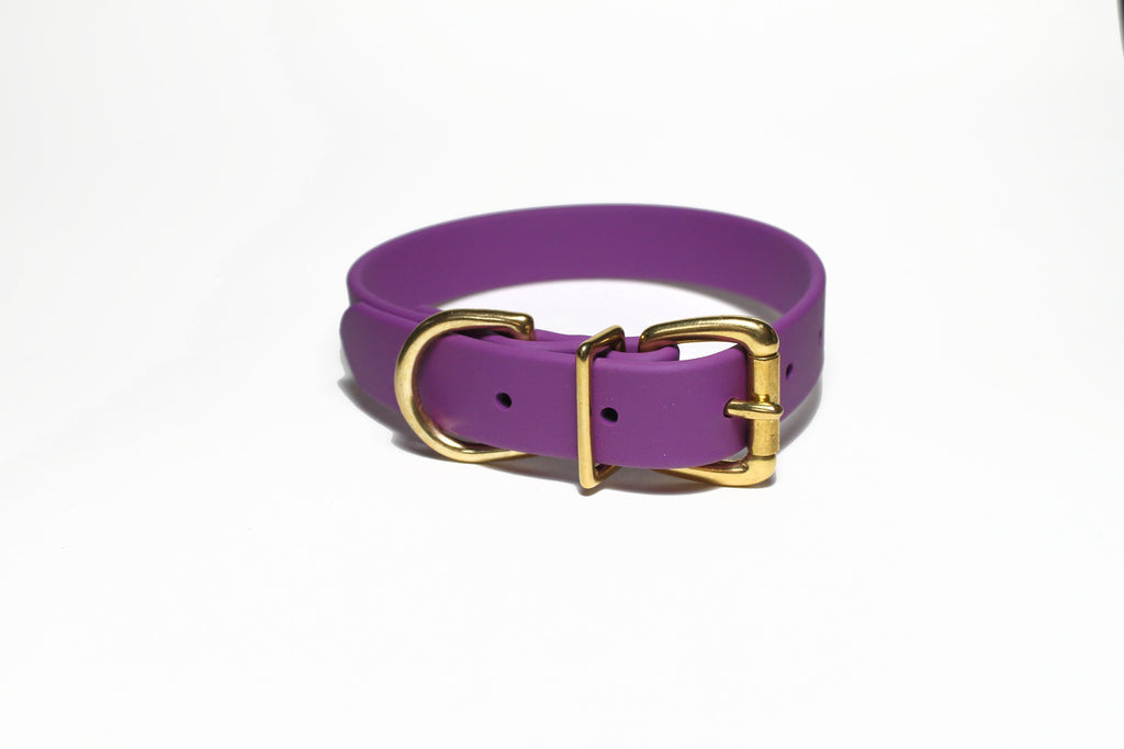 **NEW Grape Biothane Dog Collar - 1 inch (25mm) wide