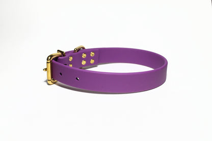 Grape Biothane Dog Collar - 1 inch (25mm) wide