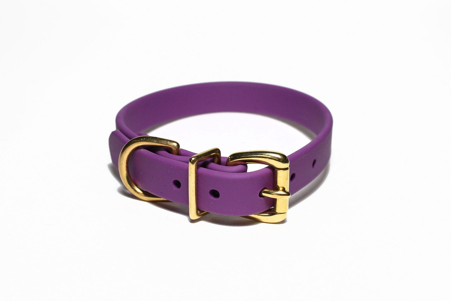 Purple dog collar with gold hardware on a white background