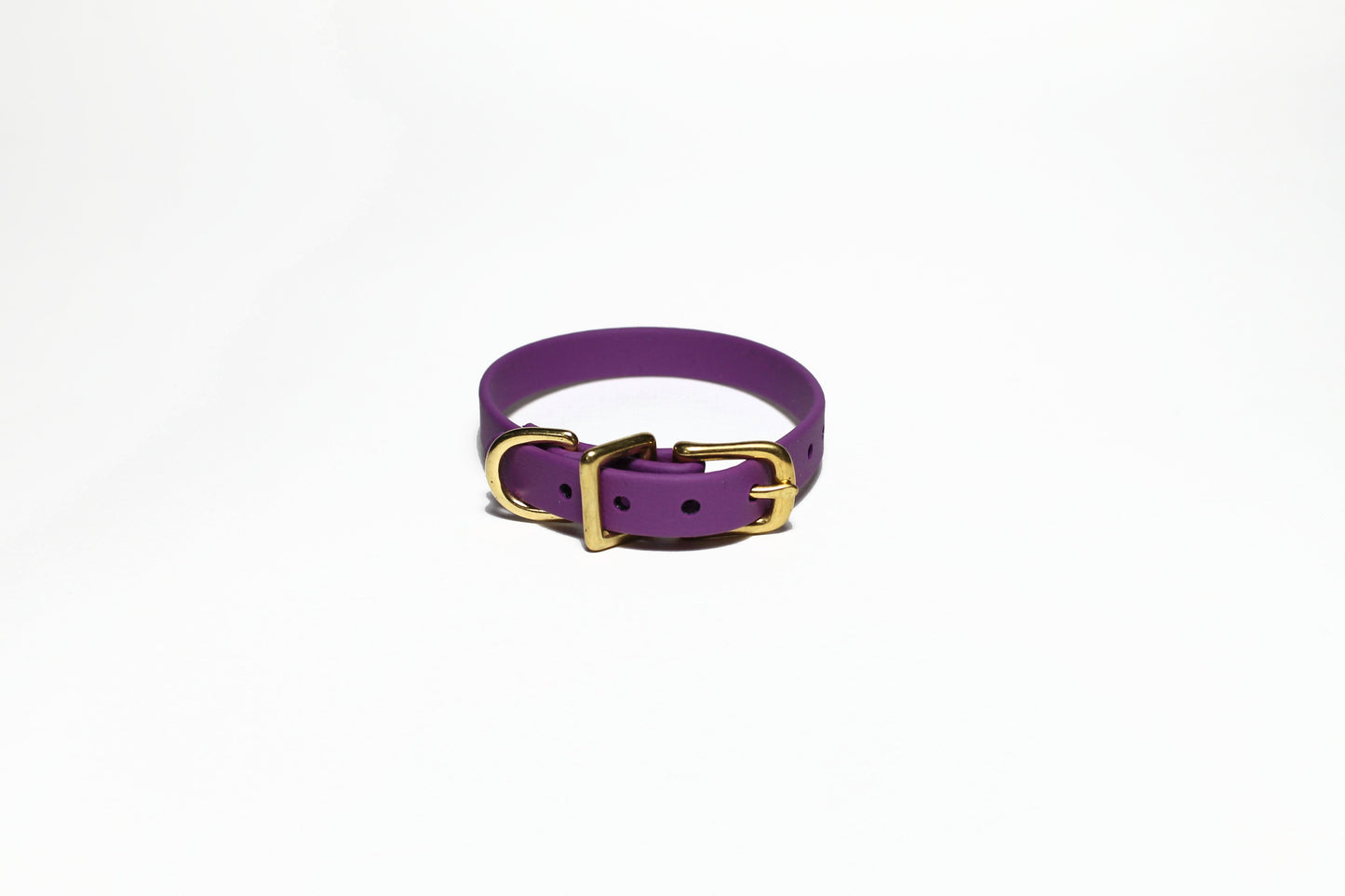 Grape Biothane Small Dog Collar - 1/2" (12mm) wide