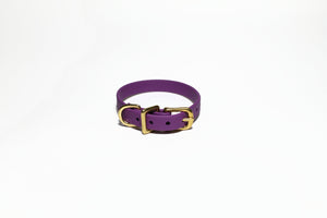 **NEW Grape Biothane Small Dog Collar - 1/2" (12mm) wide