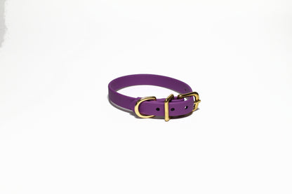Grape Biothane Small Dog Collar - 1/2" (12mm) wide