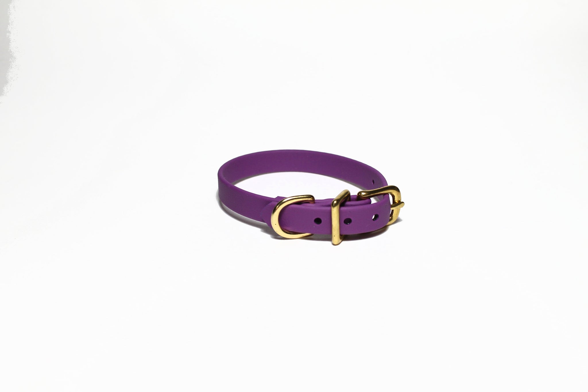 **NEW Grape Biothane Small Dog Collar - 1/2" (12mm) wide