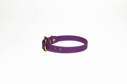Grape Biothane Small Dog Collar - 1/2" (12mm) wide