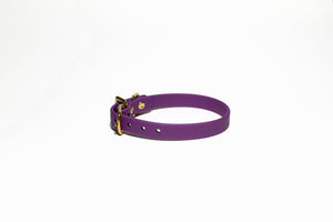**NEW Grape Biothane Small Dog Collar - 1/2" (12mm) wide