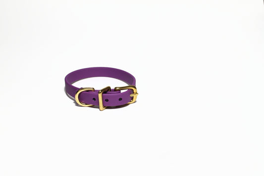 Grape Biothane Small Dog Collar - 1/2" (12mm) wide