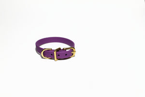 **NEW Grape Biothane Small Dog Collar - 1/2" (12mm) wide