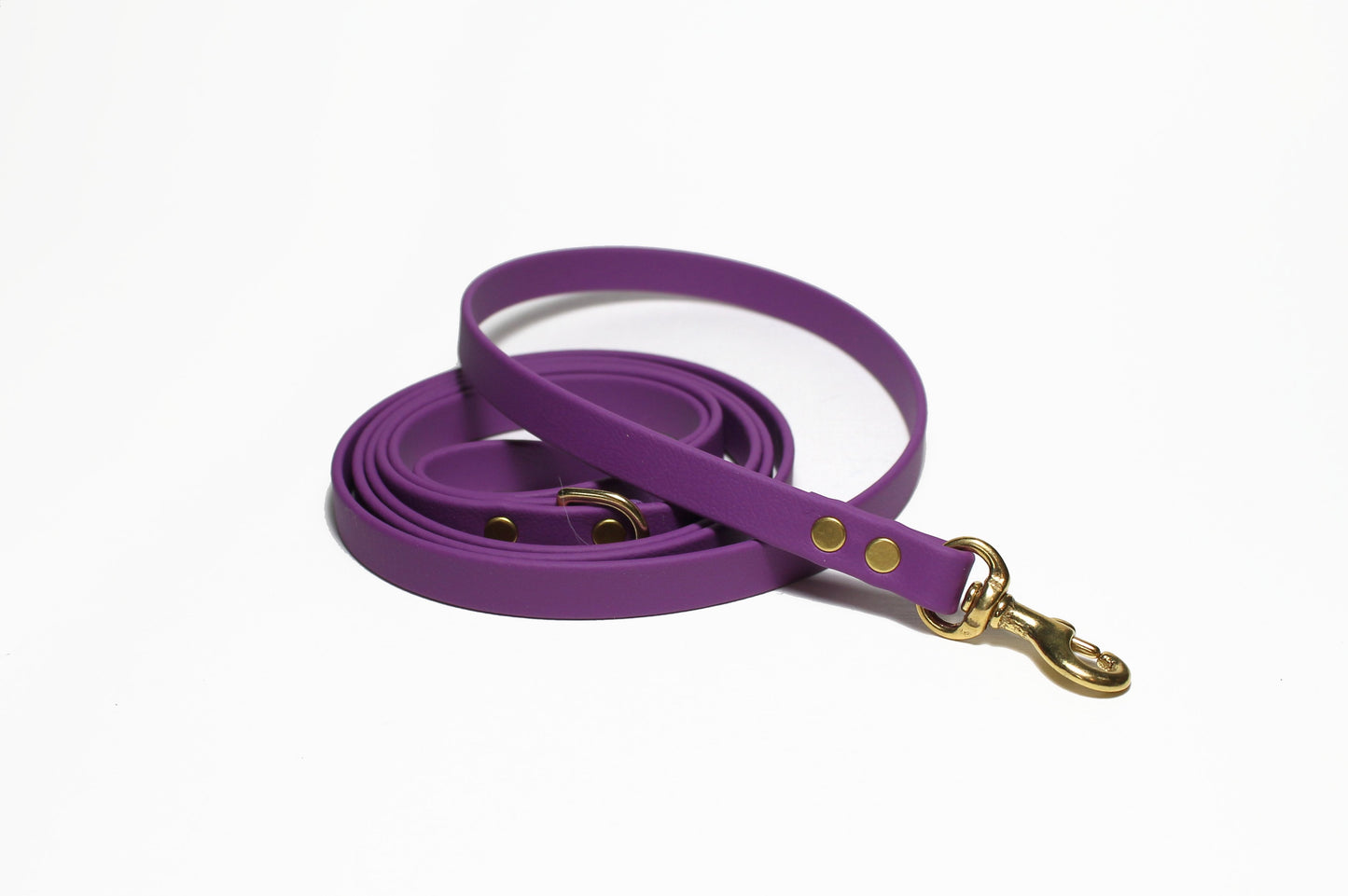 Grape Biothane Small Dog Leash