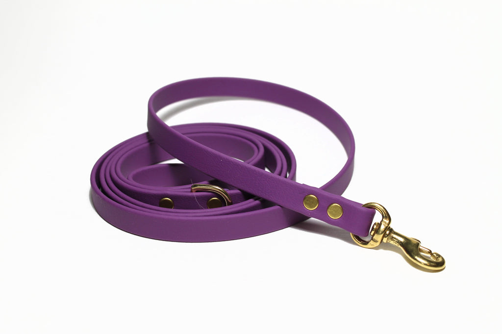 **NEW Grape Biothane Small Dog Leash