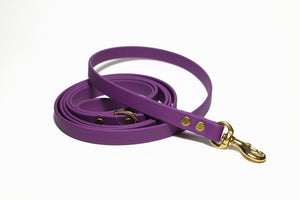 **NEW Grape Biothane Small Dog Leash