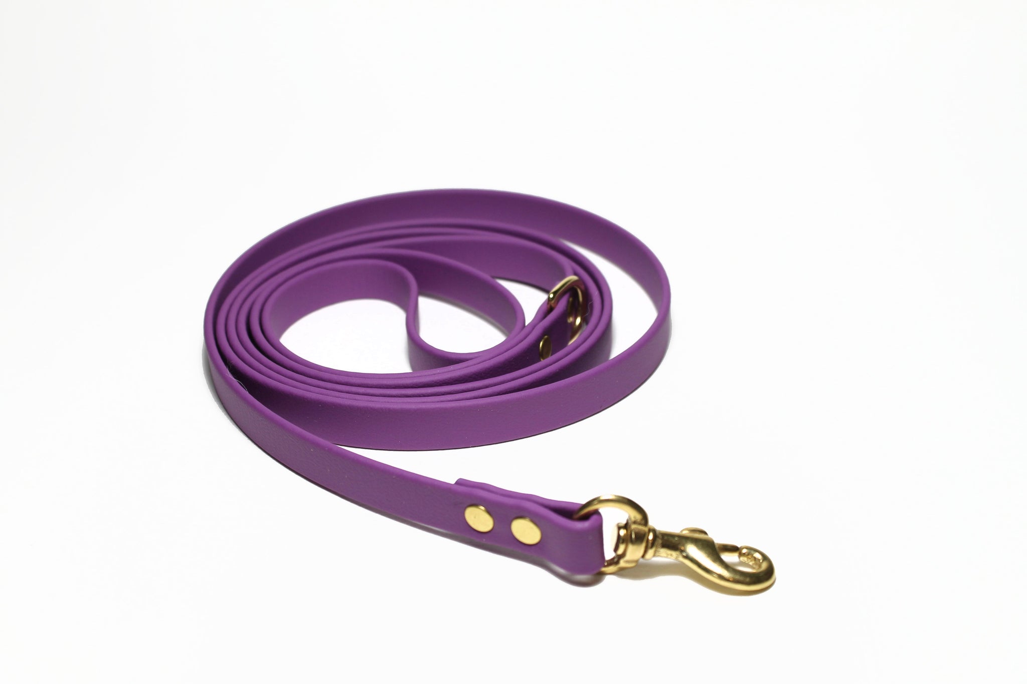 **NEW Grape Biothane Small Dog Leash