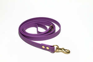 **NEW Grape Biothane Small Dog Leash