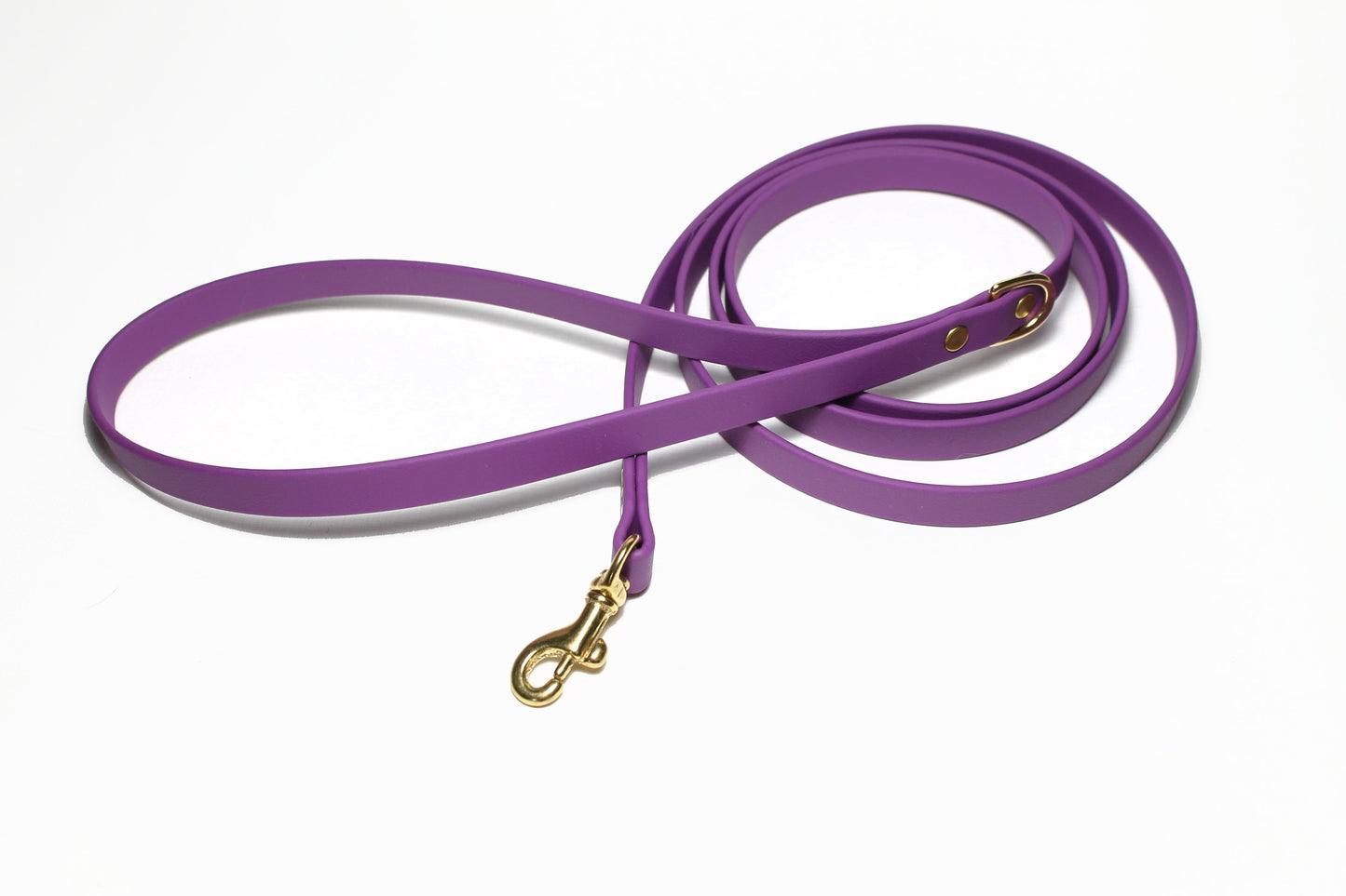 Grape Biothane Small Dog Leash