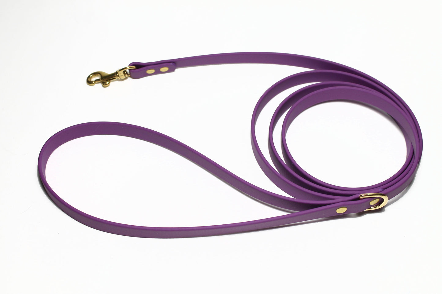 Grape Biothane Small Dog Leash