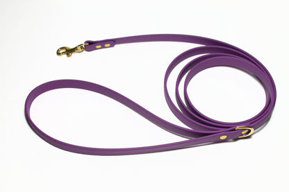 Grape Biothane Small Dog Leash