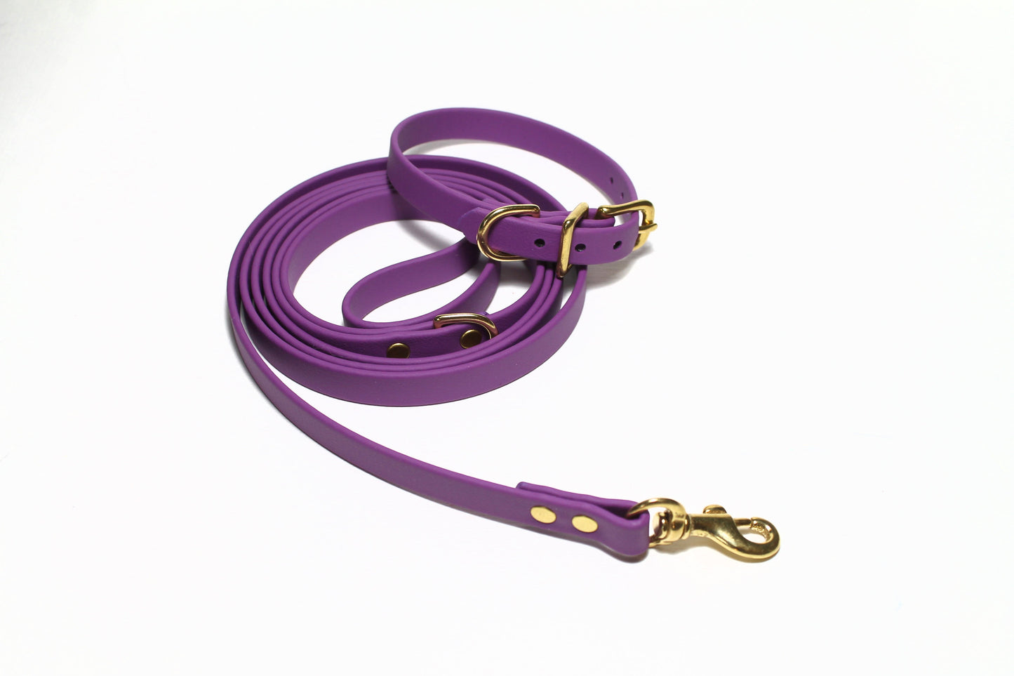 Grape Biothane Small Dog Leash