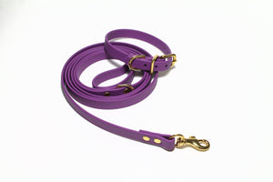 **NEW Grape Biothane Small Dog Leash