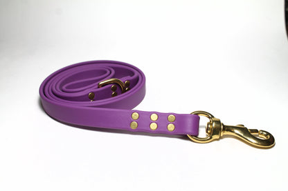 Grape Biothane Large Dog Leash