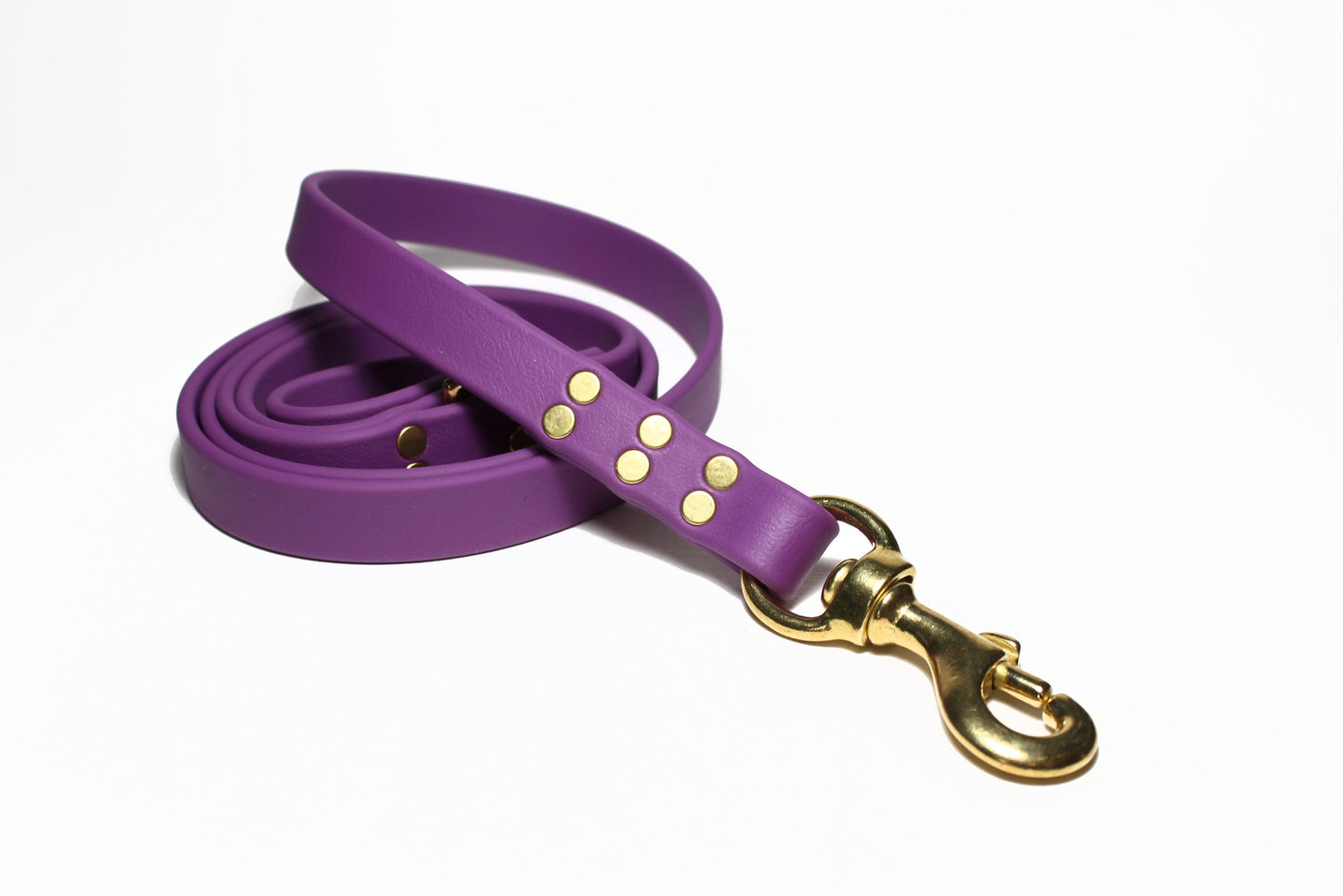 Grape Biothane Large Dog Leash
