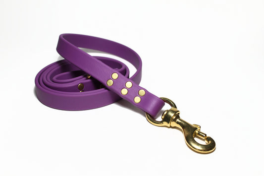 Grape Biothane Large Dog Leash