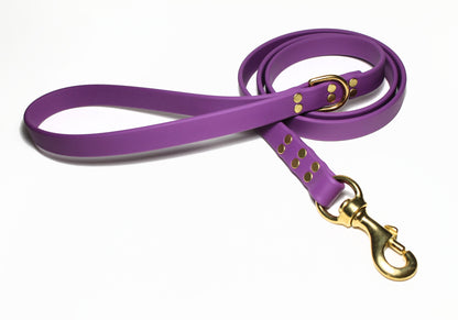 Grape Biothane Large Dog Leash