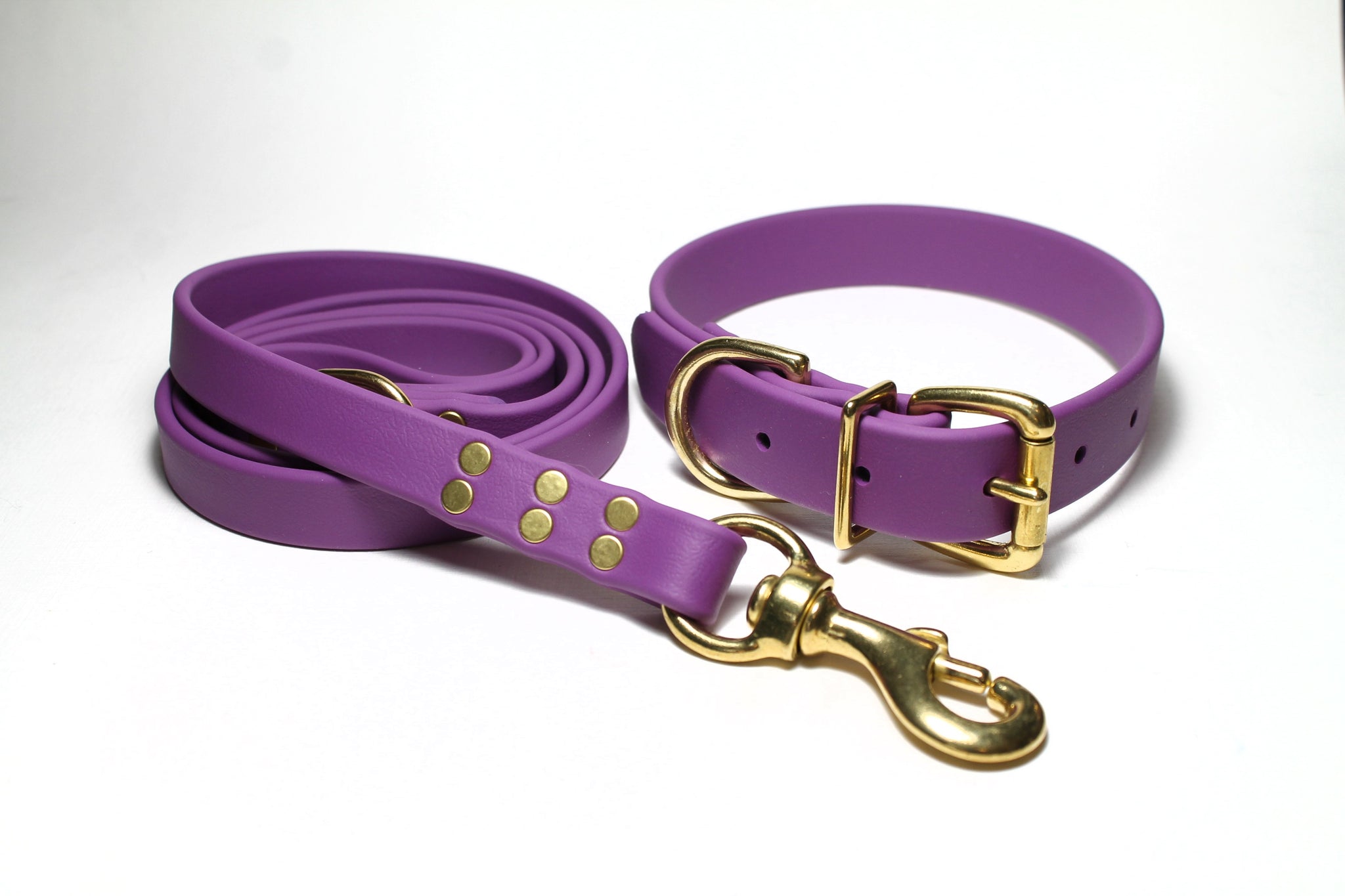 **NEW Grape Biothane Large Dog Leash