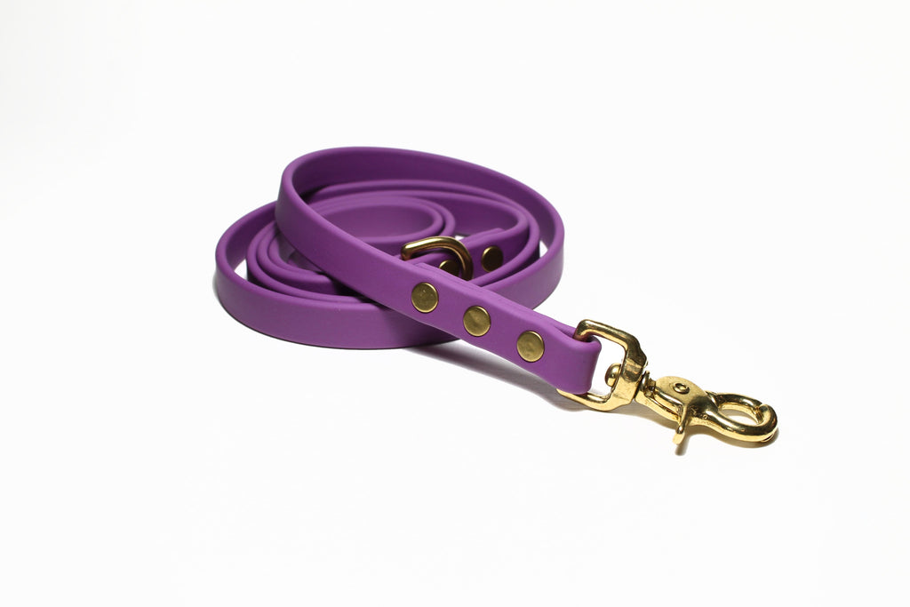 **NEW Grape Biothane Dog Leash - Regular 16mm (5/8") width