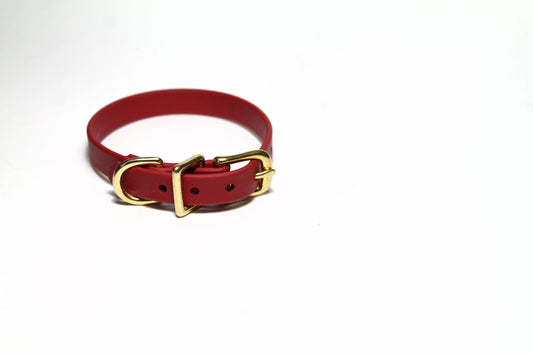 Chili Red Biothane Small Dog Collar - 1/2" (12mm) wide