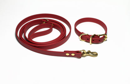 Chili Red Biothane Small Dog Collar - 1/2" (12mm) wide