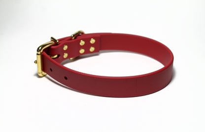 Chili Red Biothane Dog Collar - 1 inch (25mm) wide