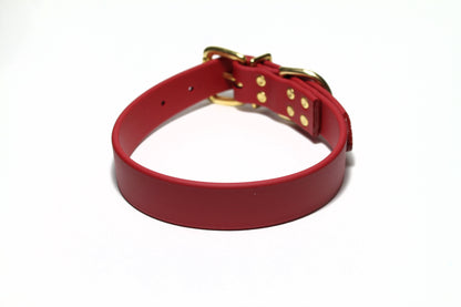 Chili Red Biothane Dog Collar - 1 inch (25mm) wide