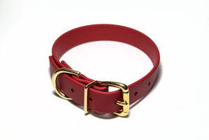 **NEW Chili Red Biothane Dog Collar - 1 inch (25mm) wide