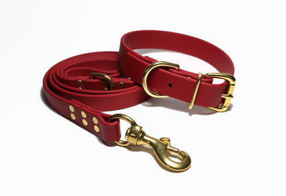 Chili Red Biothane Large Dog Leash - 3/4" (20mm) wide