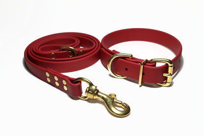 Chili Red Biothane Dog Collar - 1 inch (25mm) wide
