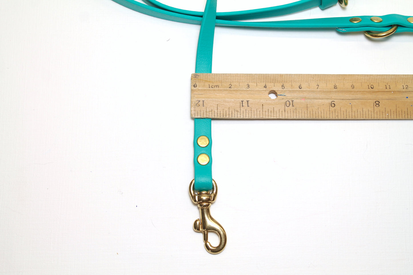 Lighter Weight Waterproof leashes - leash for cats - tracking recall long line - 3/8" (9mm) Biothane