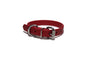 Chili Red Biothane Dog Collar - 3/4" (20mm) wide