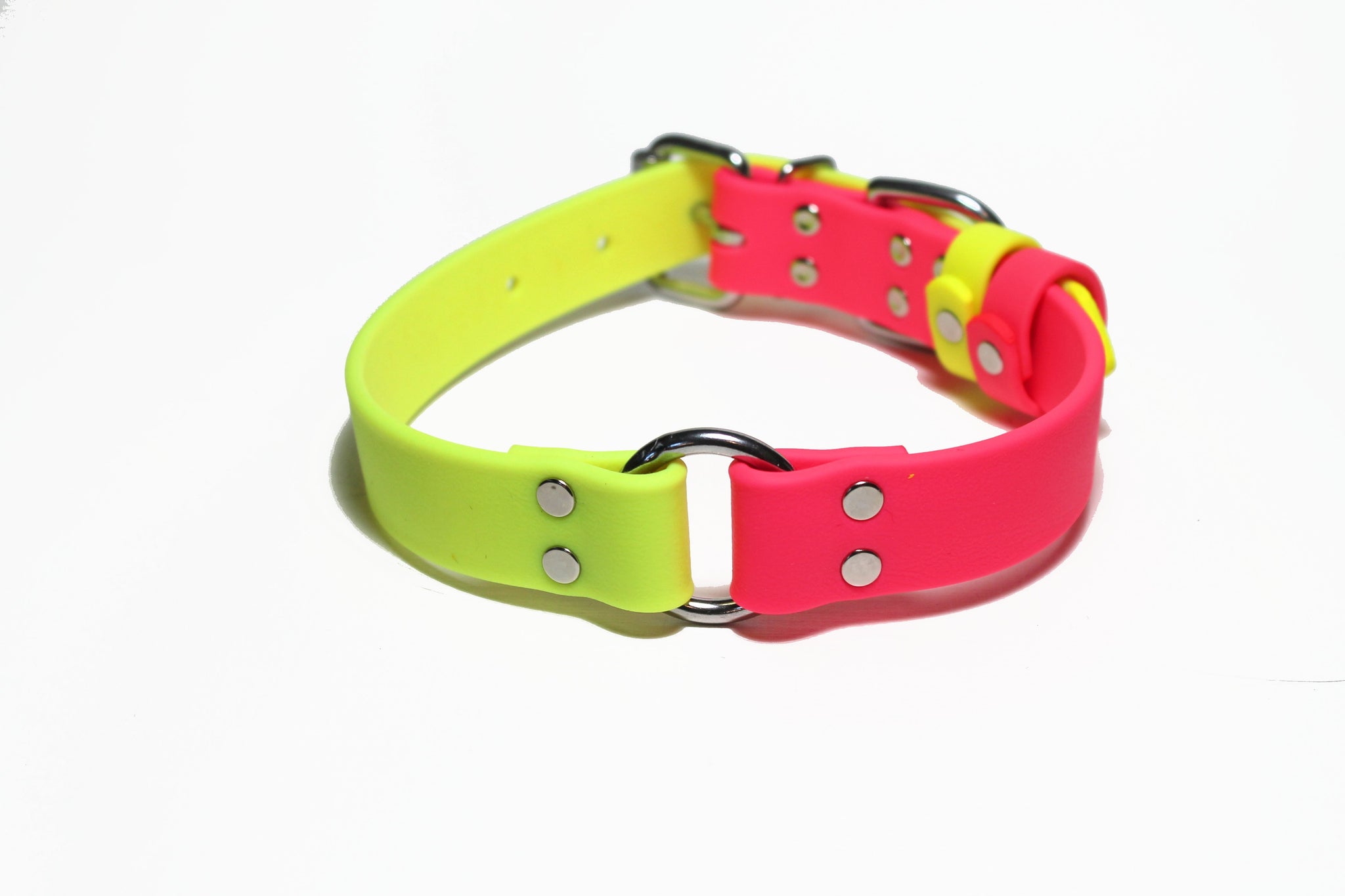 Biothane Dog Collar with O-ring - Two Tone or Solid Colours Collar - Waterproof - 1"(25mm) wide
