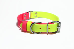 Biothane Dog Collar with O-ring - Two Tone or Solid Colours Collar - Waterproof - 1"(25mm) wide