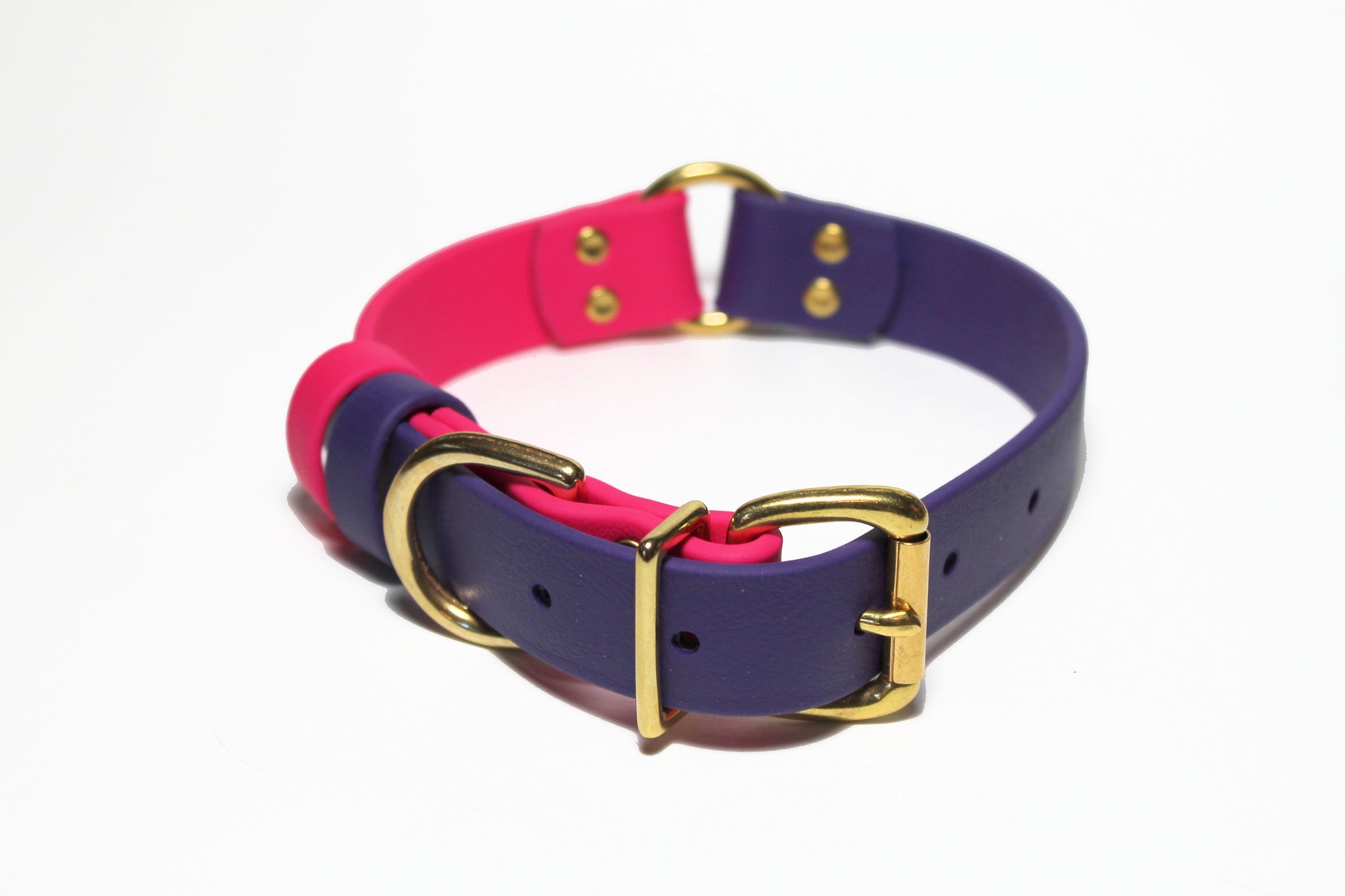 Biothane Dog Collar with O-ring - Two Tone or Solid Colours Collar - Waterproof - 1"(25mm) wide