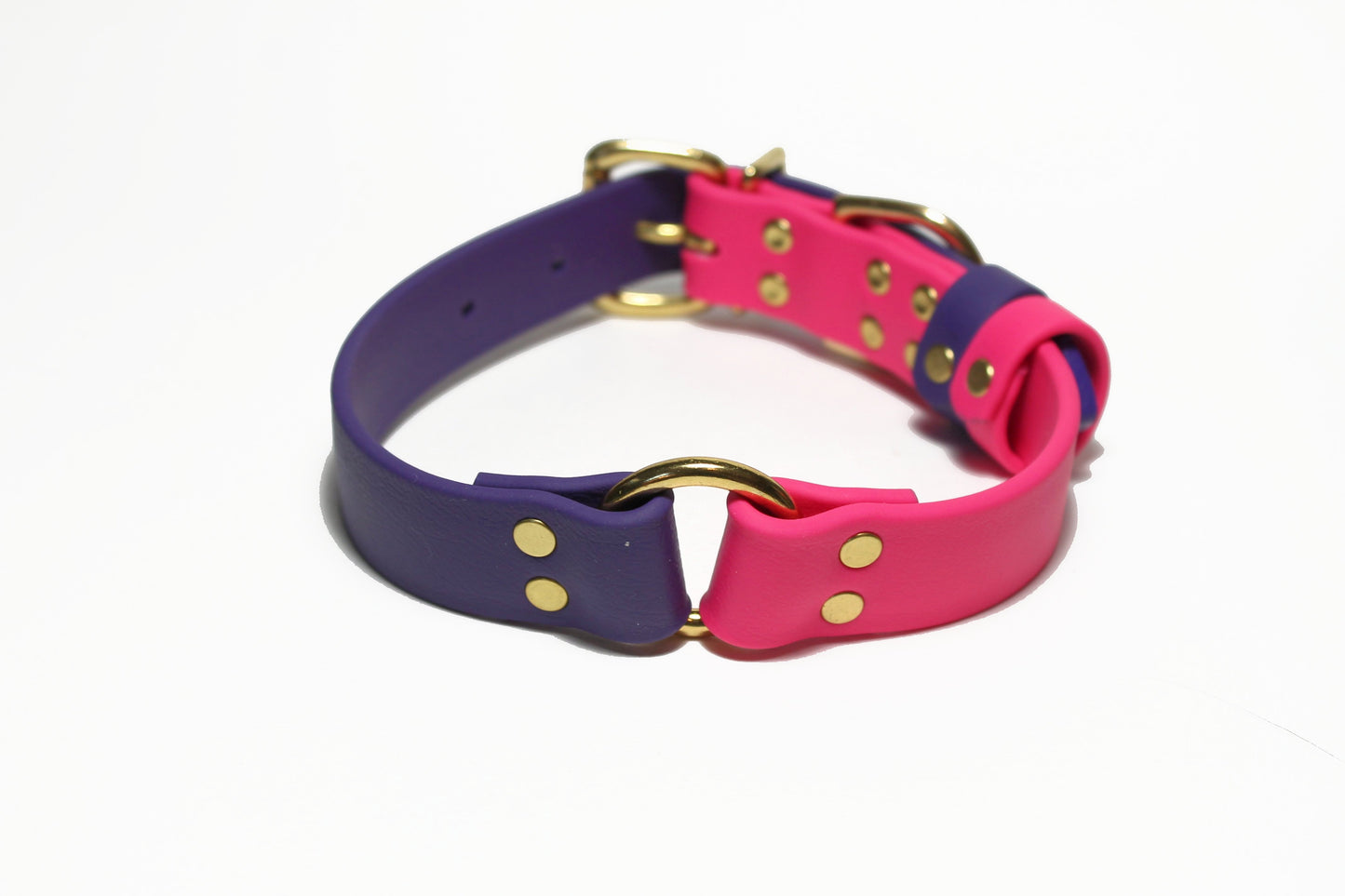 Biothane Dog Collar with O-ring - Two Tone or Solid Colours Collar - Waterproof - 1"(25mm) wide